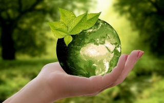 Naturaleza sagrada